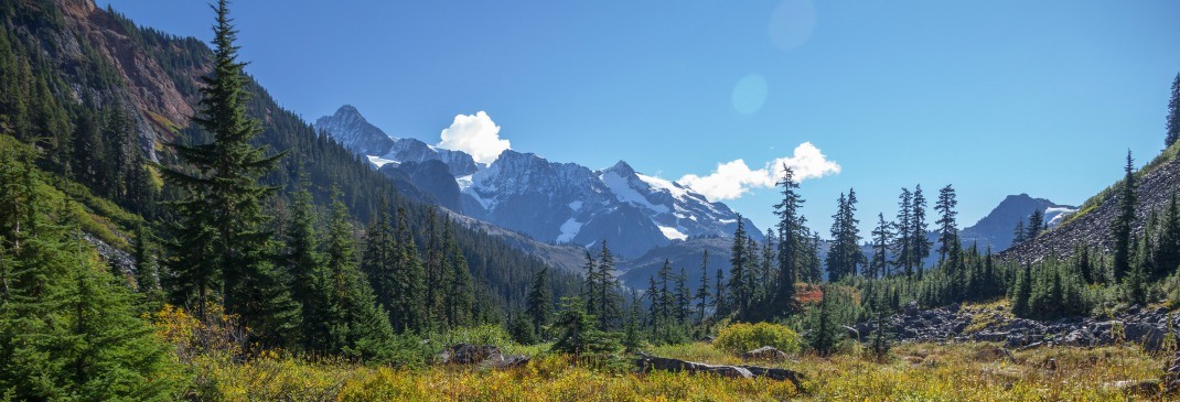 Blick über die Natur in Washington State